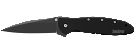Kershaw 1660CKT Leek Assisted Flipper Folding Knife