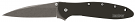 Kershaw 1660SWBLK Leek Assisted Flipper Folding Knife